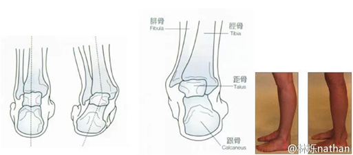 178直播体育体育频道