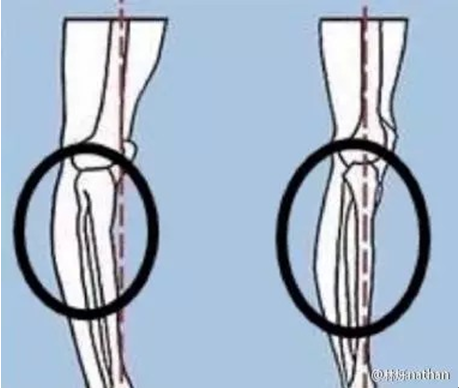 178直播体育体育频道