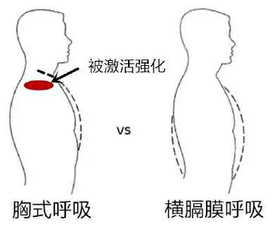178直播体育加速节点